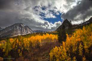 Aspens on Tioga Pass-8903-2 Aspens on Tioga Pass-8903-2